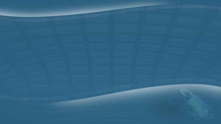 EU-US Data Transfers: What’s Next and What Should Companies be Doing?