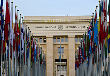 Multilateral Organisations