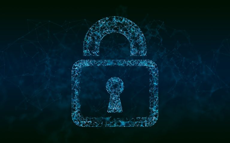 Public Data at Risk: Cyber Threat to the Networked Government