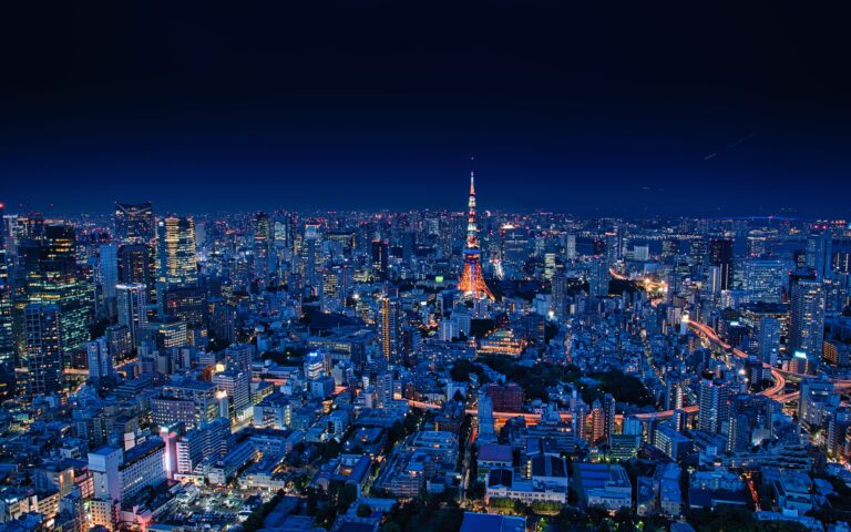 Will a Change in Leadership Slow Down Japan’s Digitalisation Efforts?