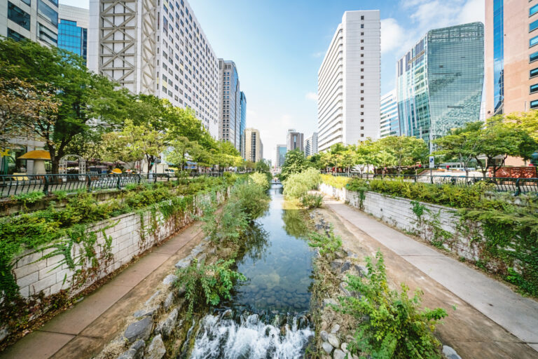 BiodiverCities by 2030 Report: Transforming Cities’ Relationship with Nature