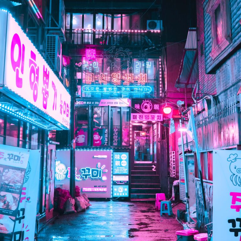 South Korea’s Digital Policy Landscape