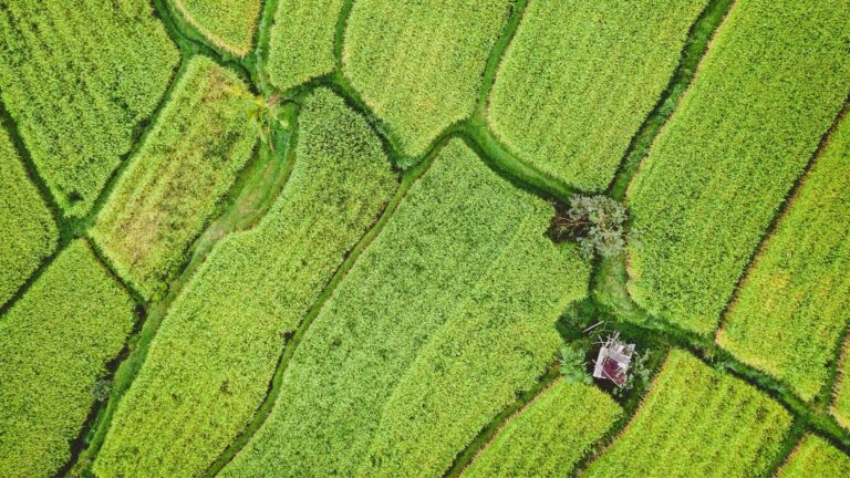 Understanding climate-smart, regenerative, and nature-based solutions for agriculture in Southeast Asia